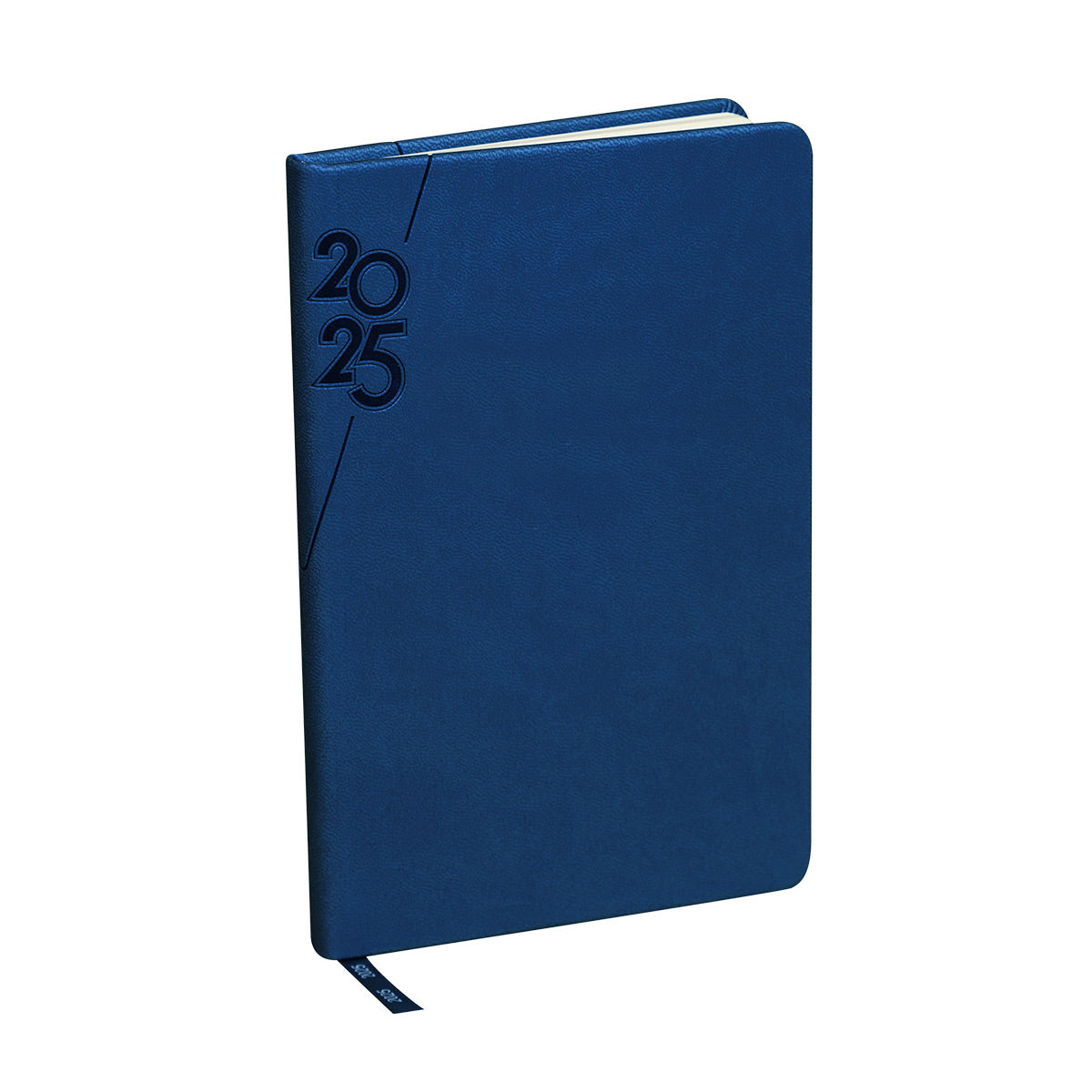 AGENDA MINI  TERRA 2025